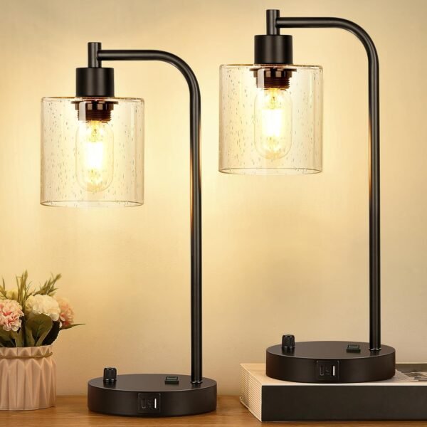 Set of 2 Industrial Table Lamps with 2 USB Port, Fully Stepless Dimmable Bedside Lamps for bedrooms, Nightstand Desk Lamps with Seeded Glass Shade for Reading Living Room Office 2  Bulb Included